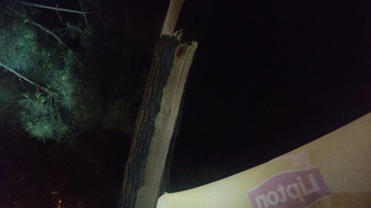 Bursa da çay bahçesinde oturanların üzerine ağaç devrildi: 2 yaralı #5