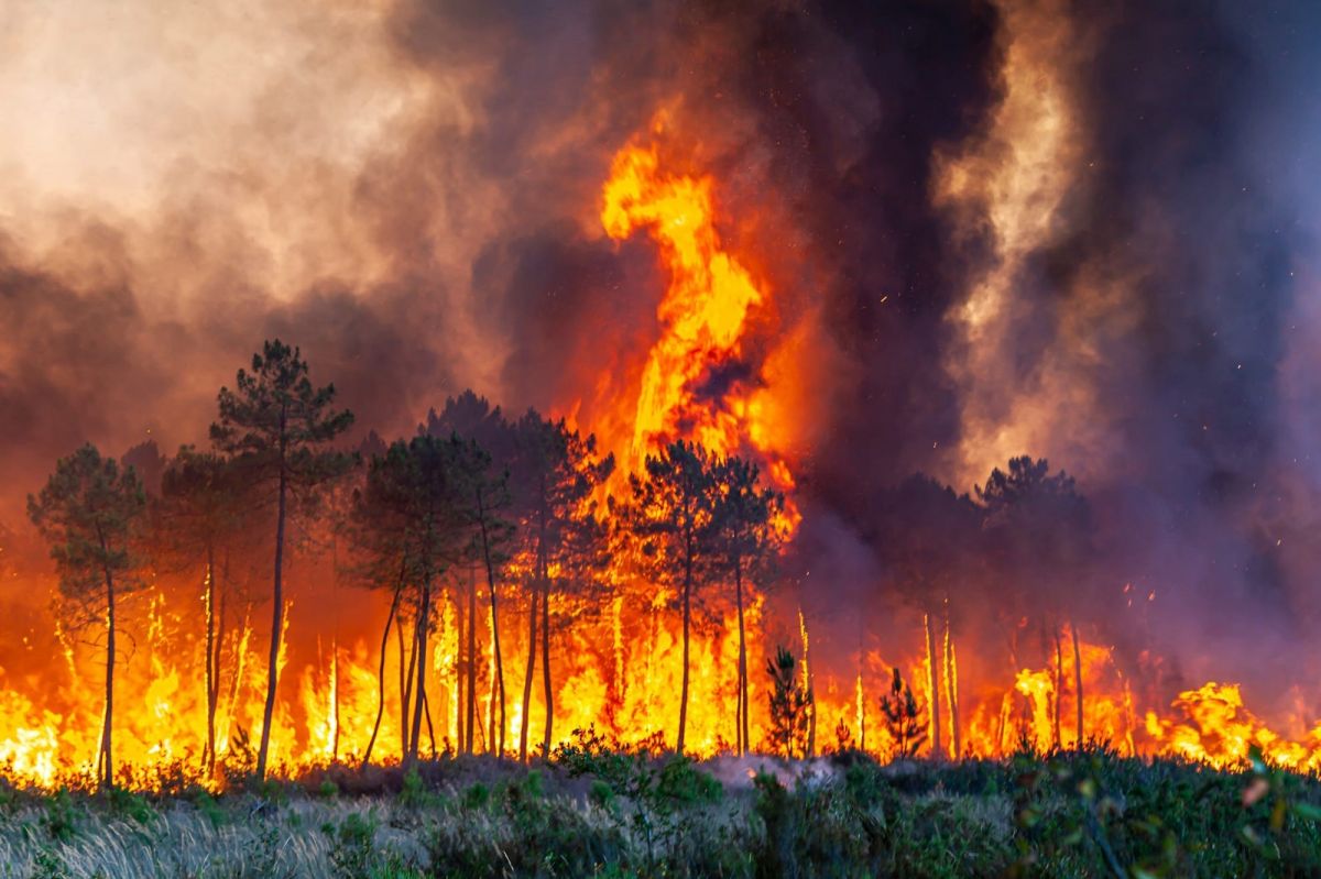 İspanya da 30 farklı noktada yangınla mücadele #1