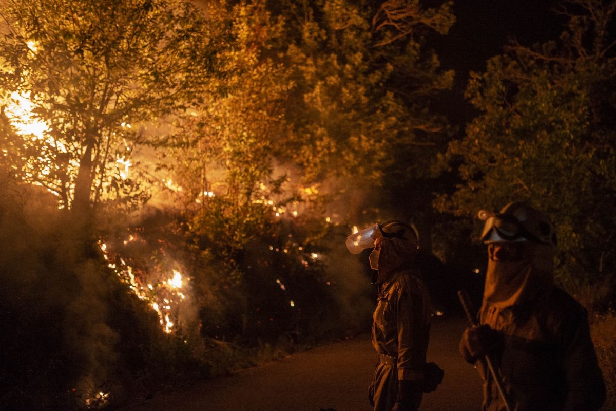 İspanya da 30 farklı noktada yangınla mücadele #2