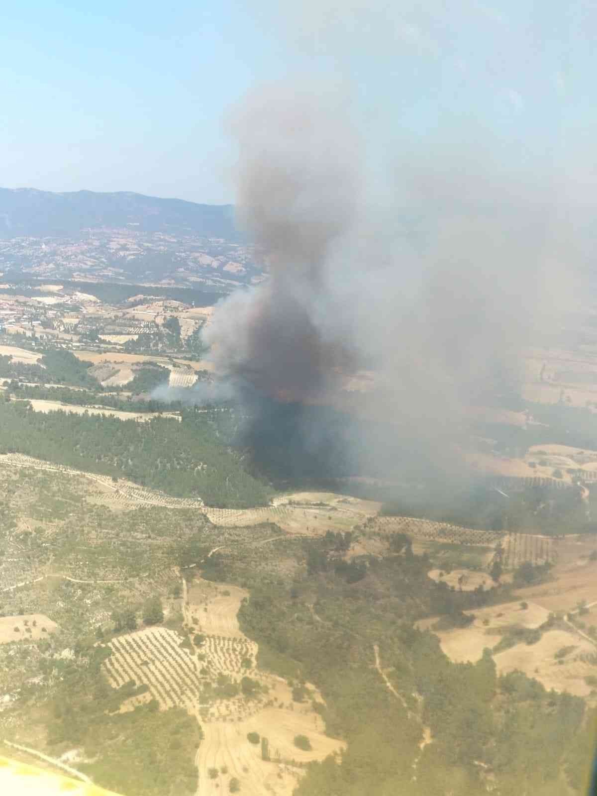 Manisa’da orman yangını #3