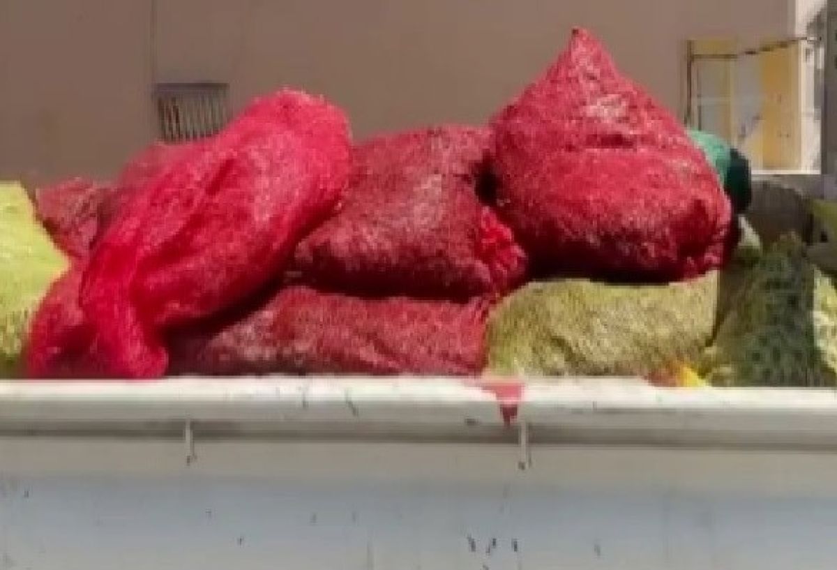 İzmir’de sağlıksız koşullarda üretilen 250 kilo midyeye el konuldu #3