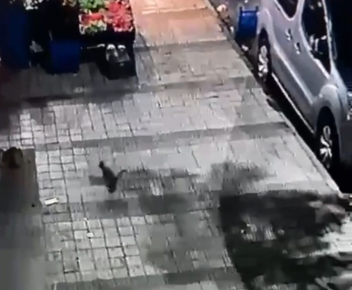 Sultangazi de art arda yaşanan görünmez kazalar kaydedildi #6