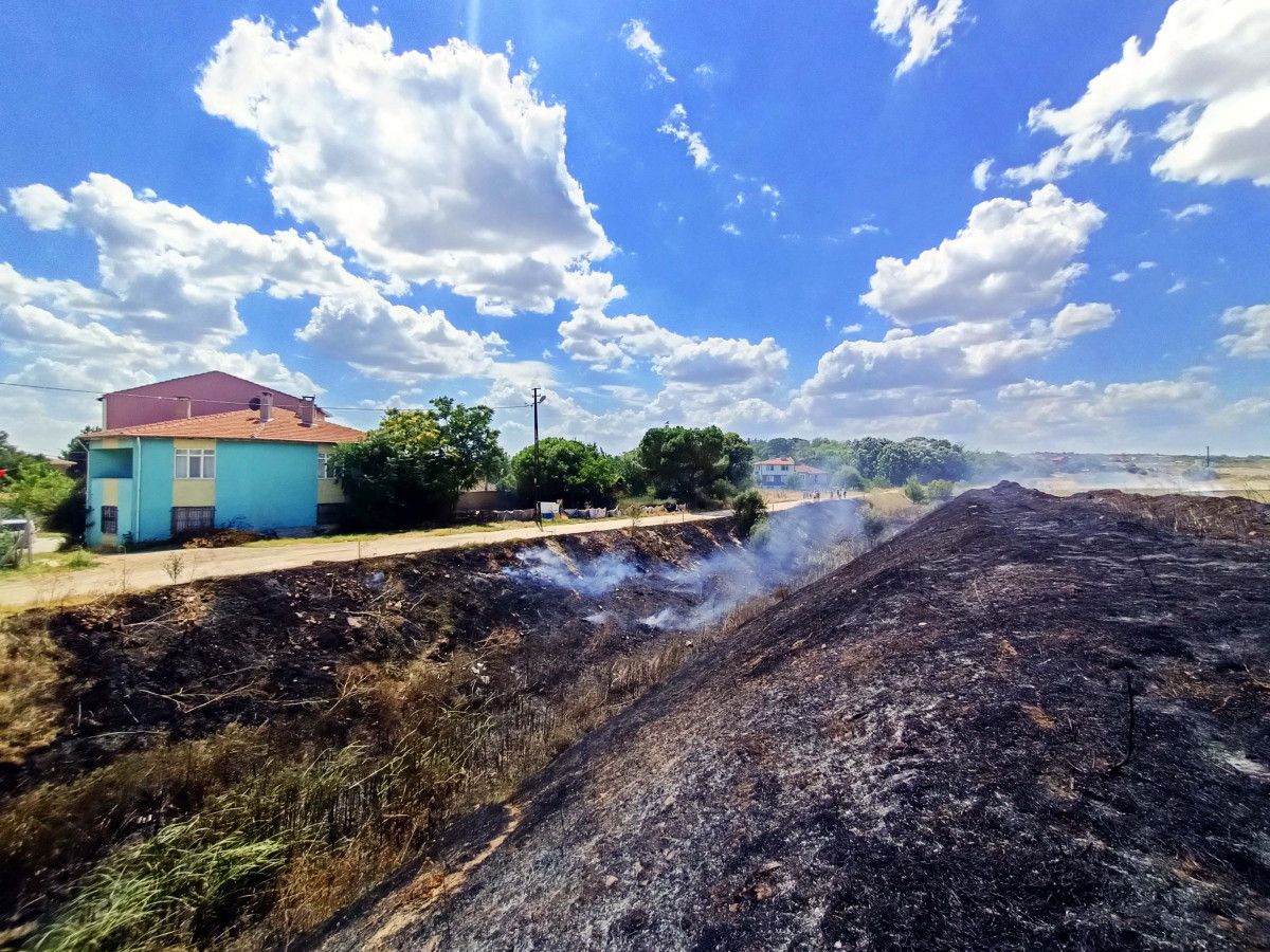 Edirne de otluk yangını yerleşim yerlerine sıçramadan söndürüldü #2