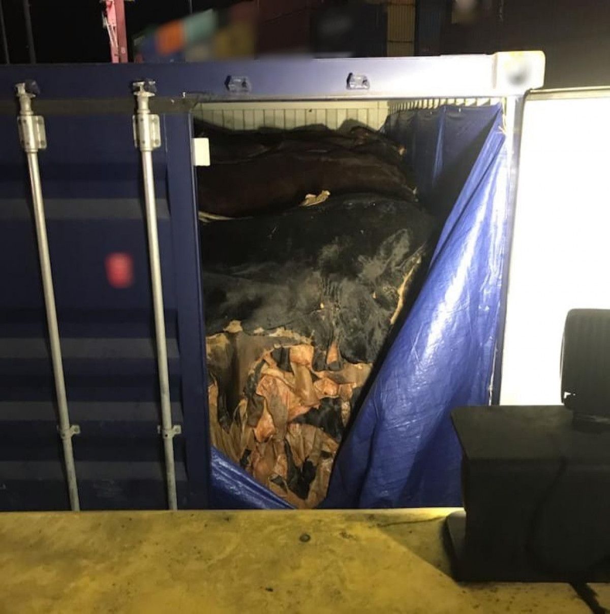 Gümrük Muhafaza ekiplerinden Kocaeli ve Edirne de operasyon: 473 kilo uyuşturucu madde ele geçirildi #10