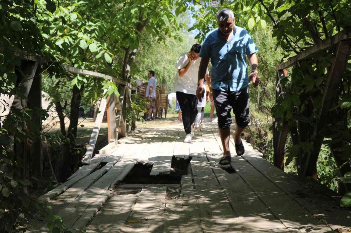 Erzincan daki Girlevik Şelalesi’nin kırık tahta köprüleri, tepki topluyor #1