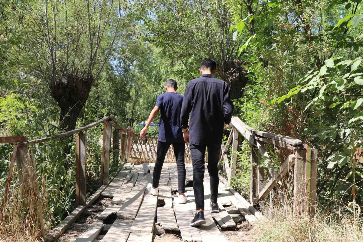 Erzincan daki Girlevik Şelalesi’nin kırık tahta köprüleri, tepki topluyor #6