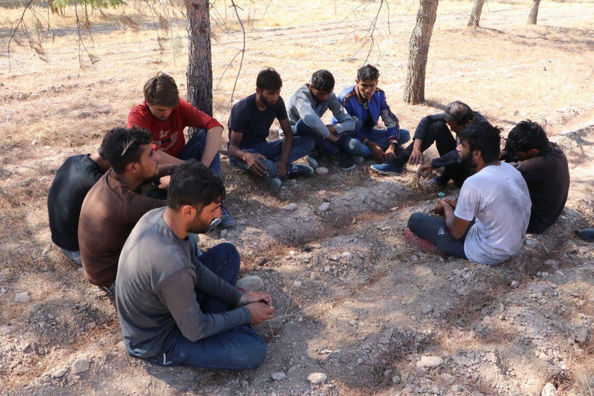 Şanlıurfa da fıstık bahçesinde saklanan 28 kaçak göçmen yakalandı #3