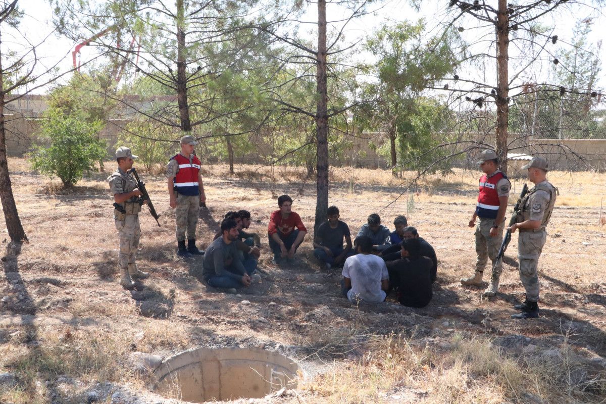 Şanlıurfa da fıstık bahçesinde saklanan 28 kaçak göçmen yakalandı #6