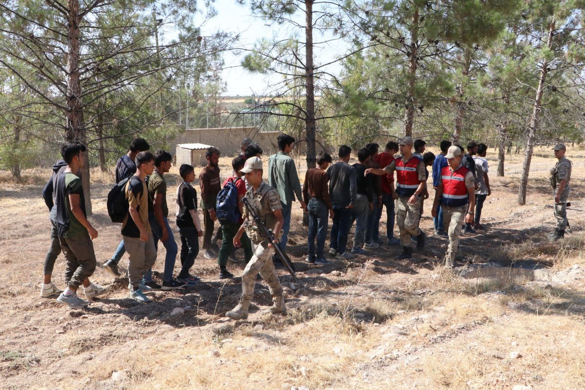 Şanlıurfa da fıstık bahçesinde saklanan 28 kaçak göçmen yakalandı #5