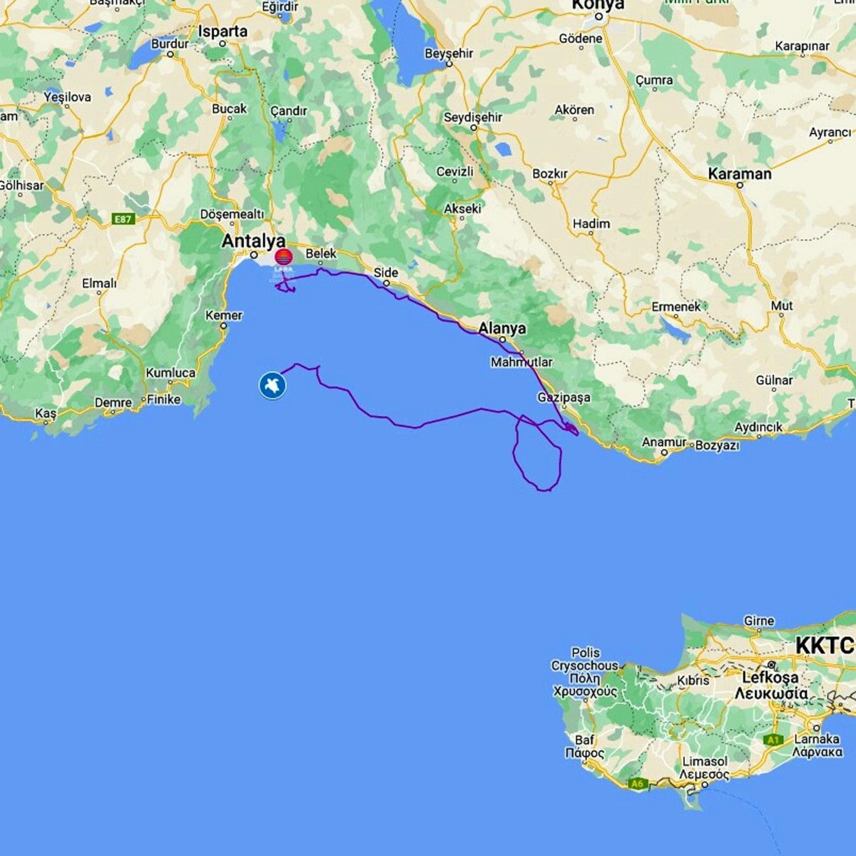Antalya da 1.5 yıl tedavi gören Lara 1 ayda 485 kilometre yol katetti #2