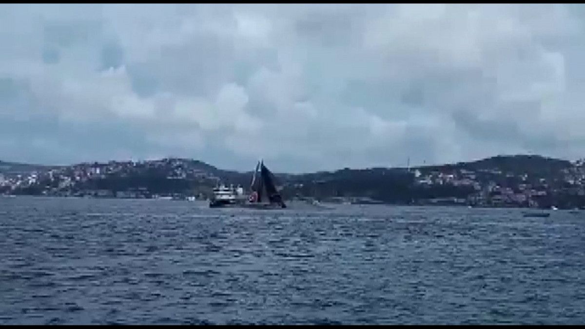 Reaction to the hunt with the boat that started before the ban ends in the Bosphorus #1 on camera