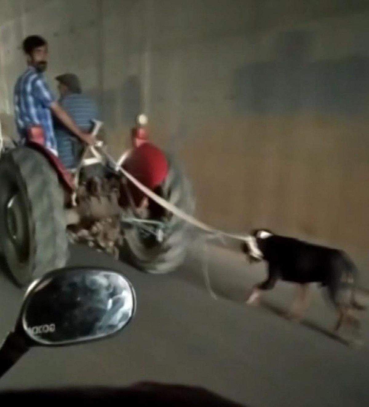 Sultanbeyli de traktöre bağlanan köpeğe eziyet #2