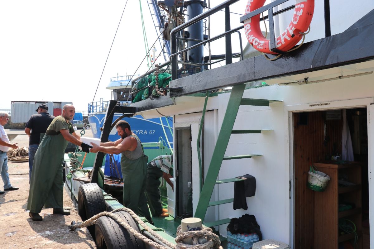 Karadeniz’de tekneler kasa kasa balıkla döndü #2