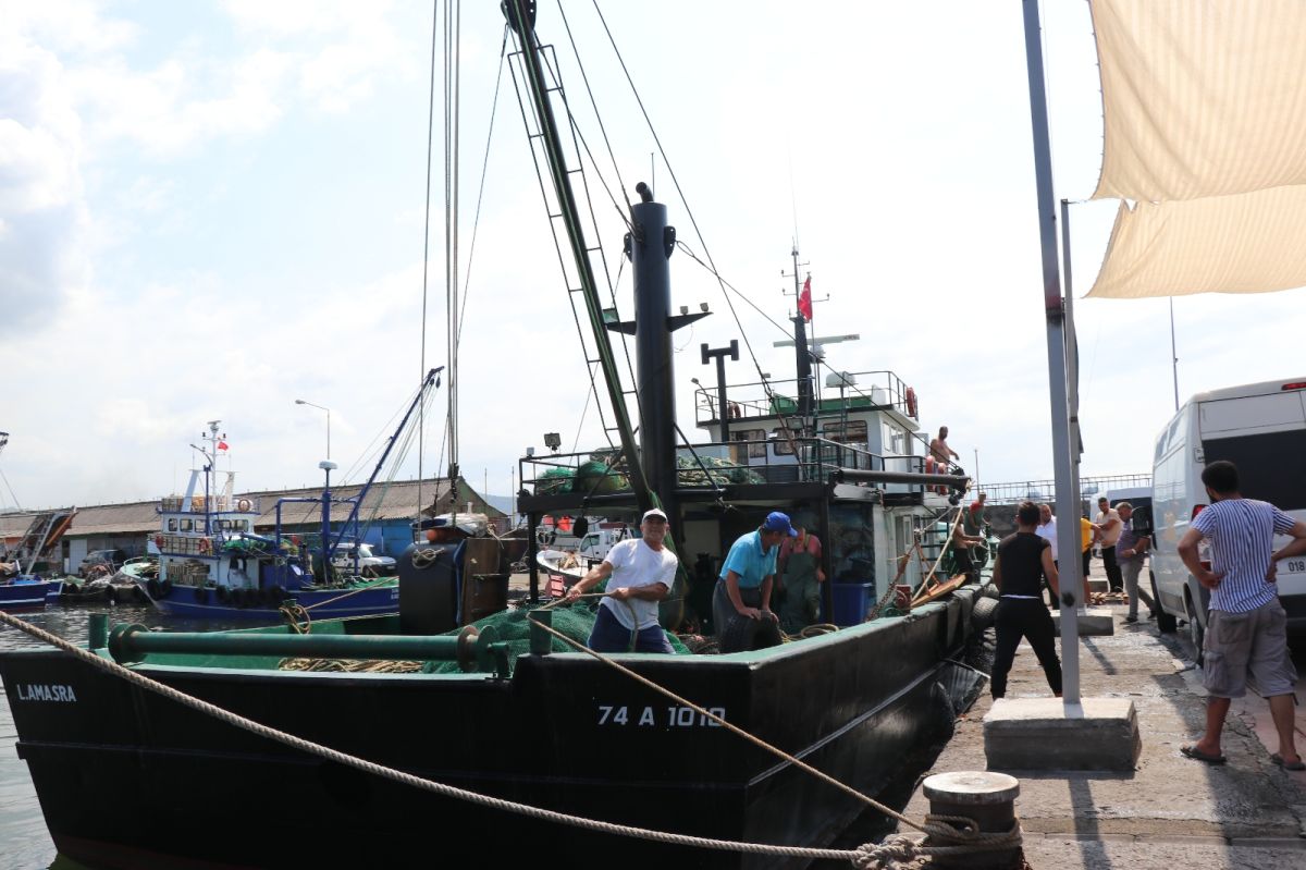 Karadeniz’de tekneler kasa kasa balıkla döndü #4