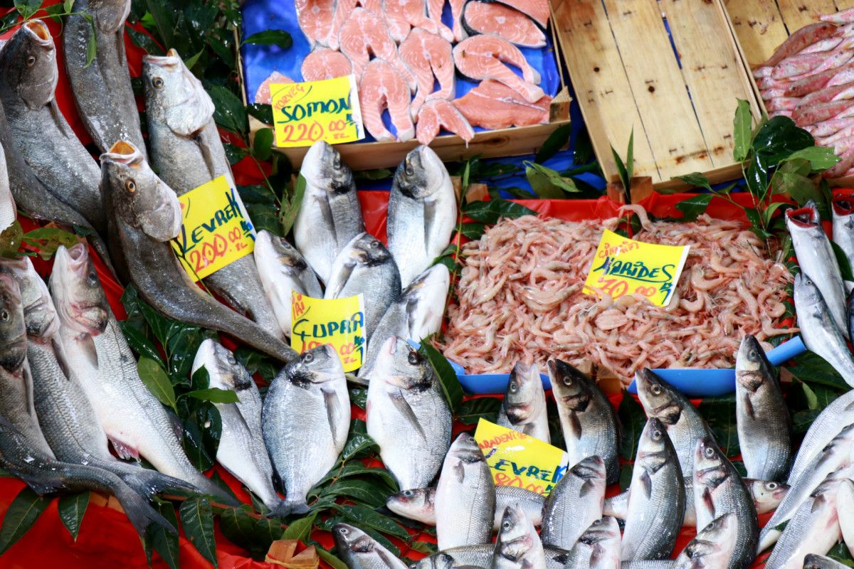 Edirne de taze balık için tezgahlara akın eden vatandaşlar fiyatları pahalı buldu #2