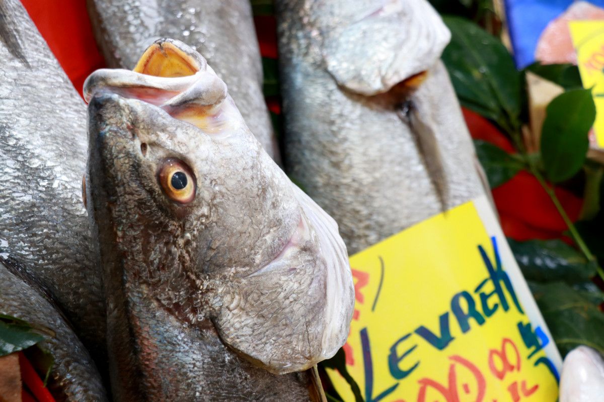 Edirne de taze balık için tezgahlara akın eden vatandaşlar fiyatları pahalı buldu #6