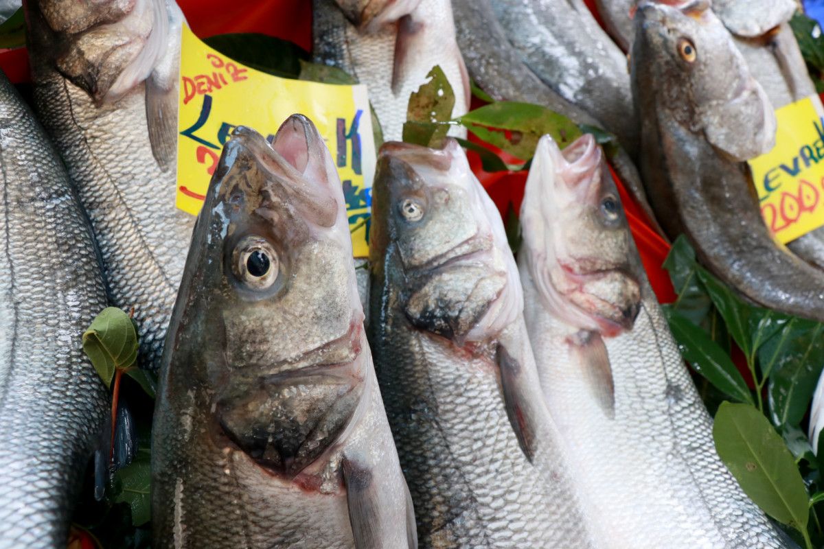 Edirne de taze balık için tezgahlara akın eden vatandaşlar fiyatları pahalı buldu #5