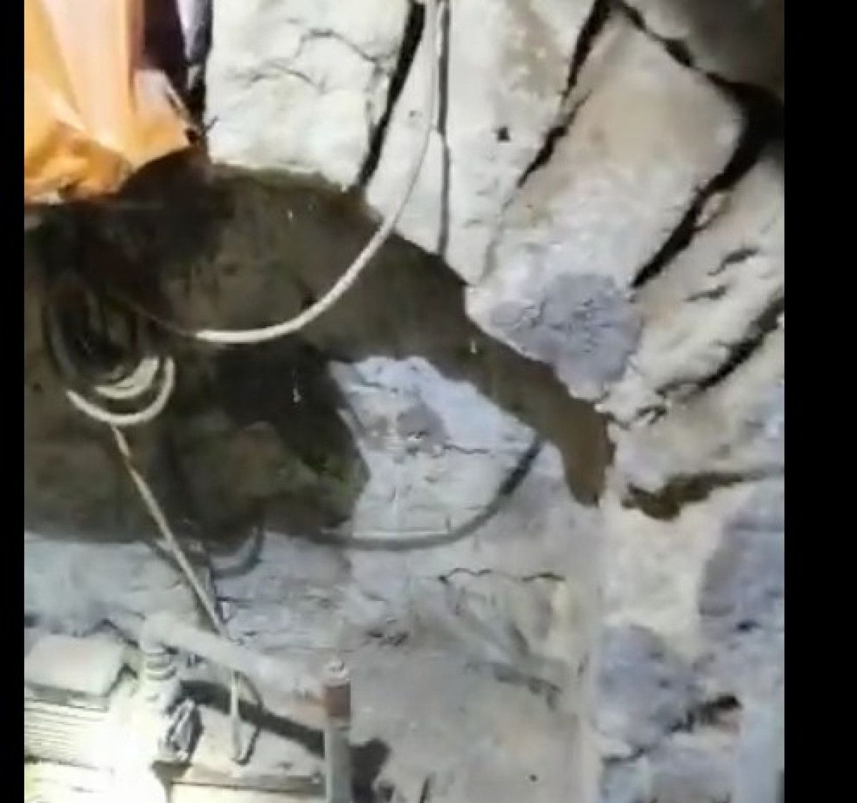 Kilis te kuyuya düşen yavru kedi kalp masajıyla hayata döndü #2