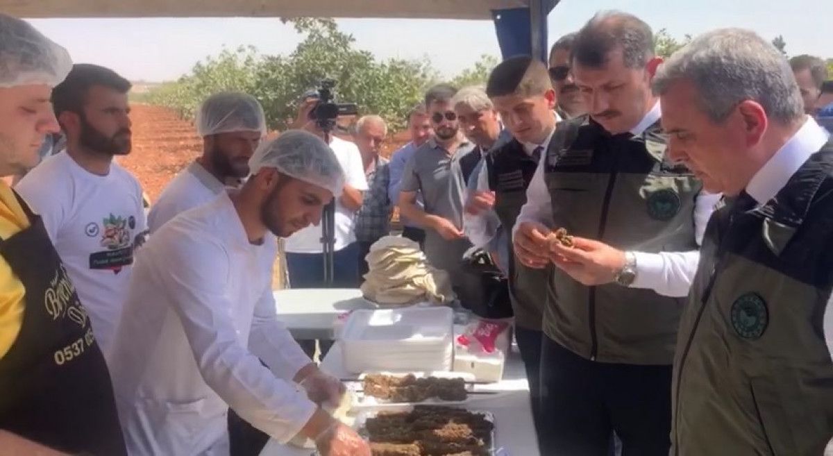 Şanlıurfa’da fıstık kebabı ziyafeti #1