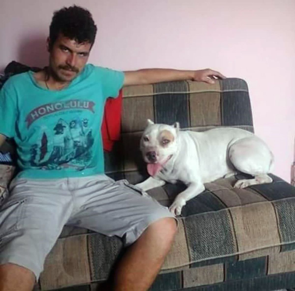 Adana da elektrik direğinde akıma kapılıp öldü #1