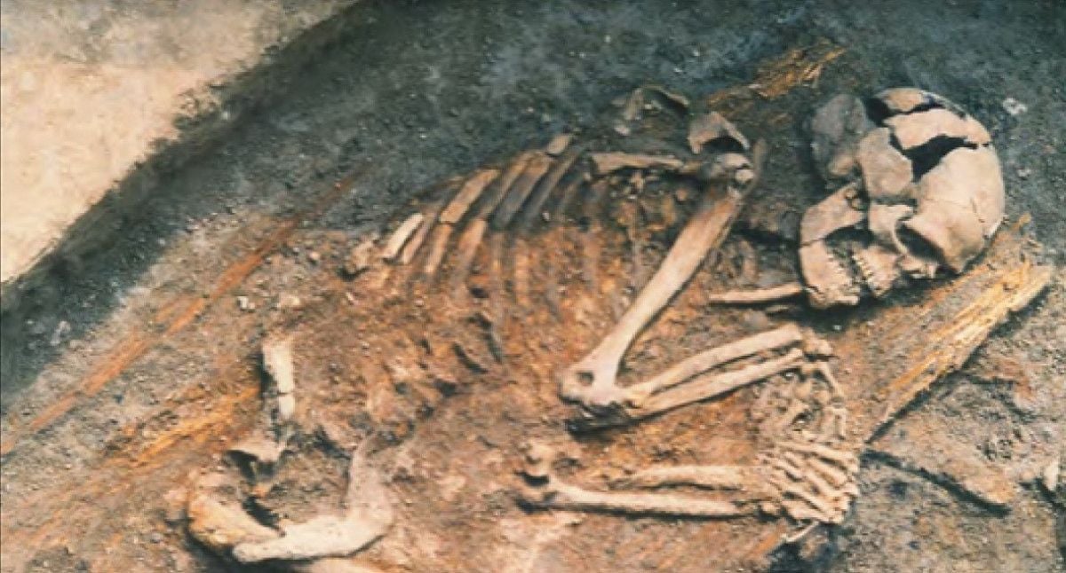 'Ancient Genetic Profile of Turkey' Extracted by Historical DNA Research #2