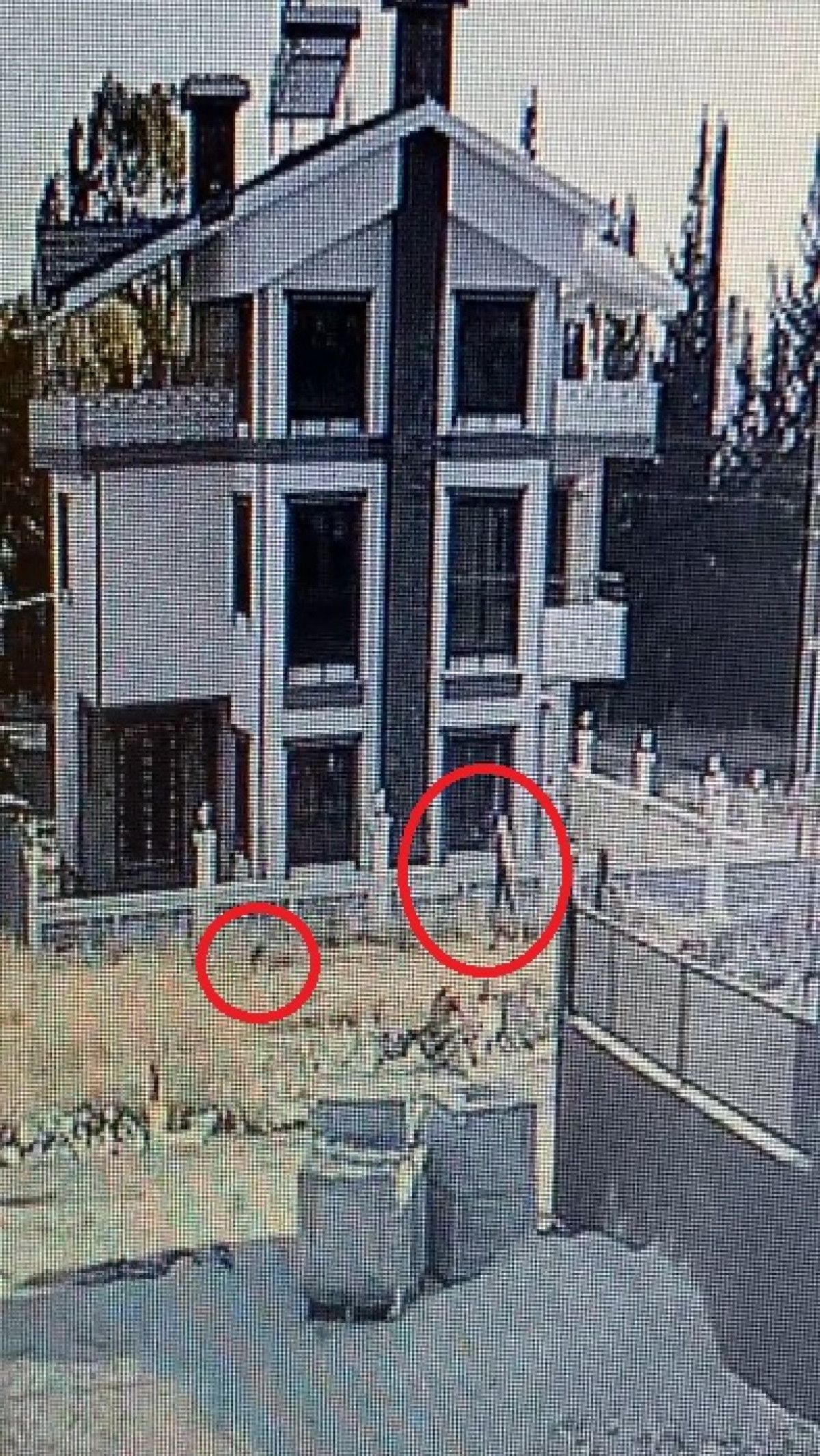 tufekle_yavru_kopegi_oldurdu_hayvanseverler_tutuklanmasini_istedi_20016.jpg