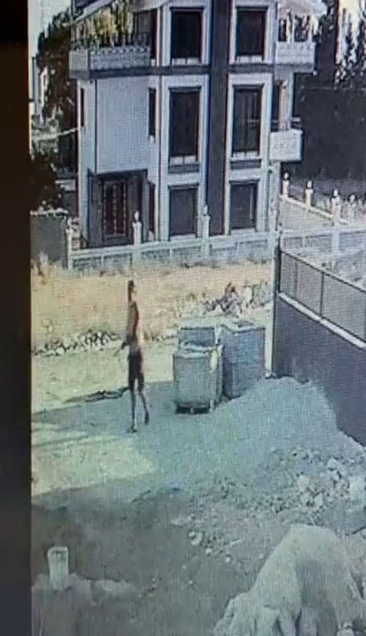 tufekle_yavru_kopegi_oldurdu_hayvanseverler_tutuklanmasini_istedi_85628.jpg