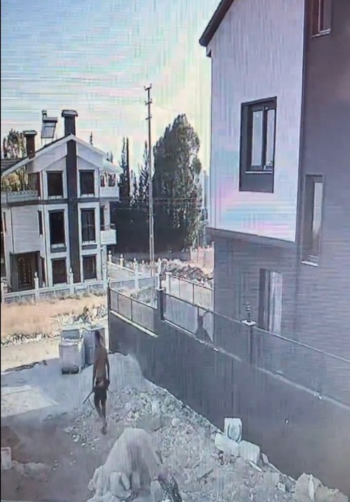 tufekle_yavru_kopegi_oldurdu_hayvanseverler_tutuklanmasini_istedi_91550.jpg