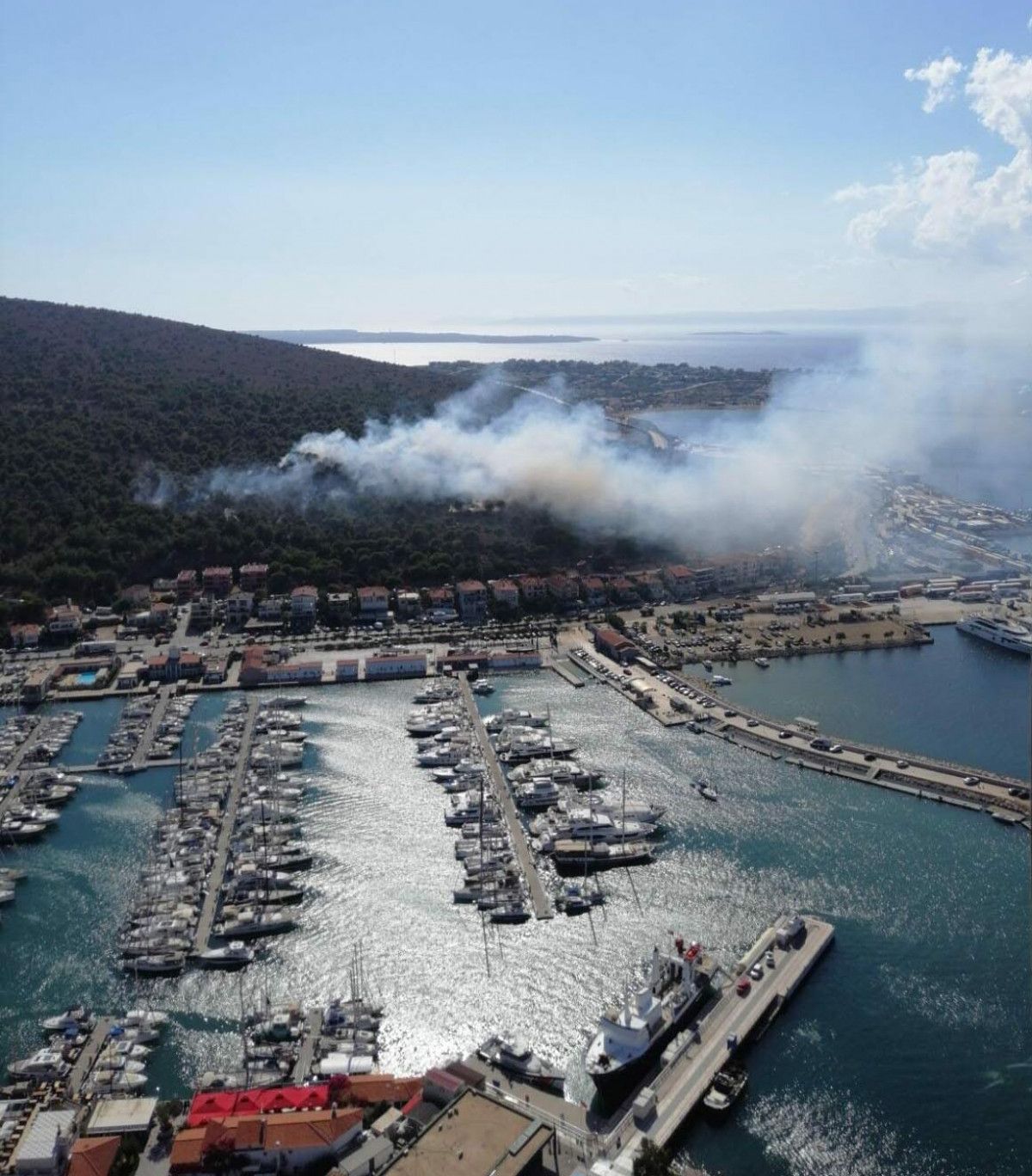 İzmir deki orman yangınına havadan ve karadan müdahale ediliyor  #3