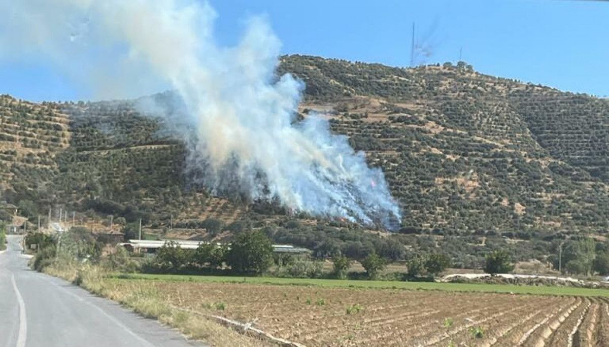 İzmir de orman yangını çıktı #1
