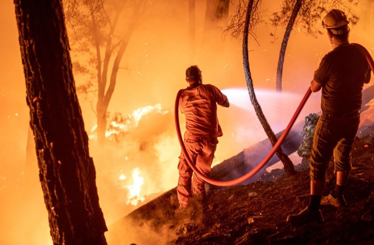 Tarihin en büyük yangınında yeşile dönüş yüzde 80 tamamlandı #2