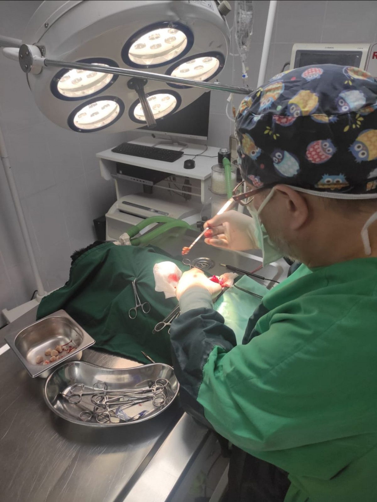 Adana da  Biber  isimli köpeğin mesanesinden 55 parça taş çıktı #2