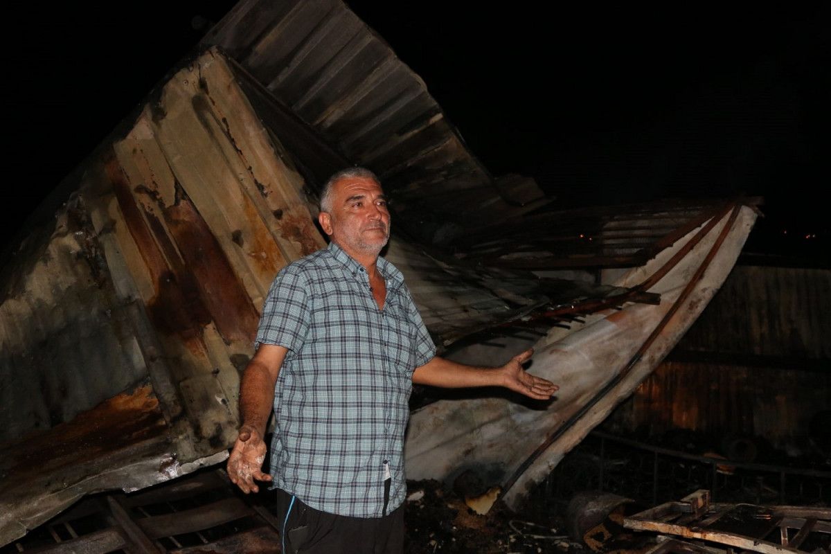 Adana da kundaklanan barakadaki 90 güvercin yanarak öldü #4