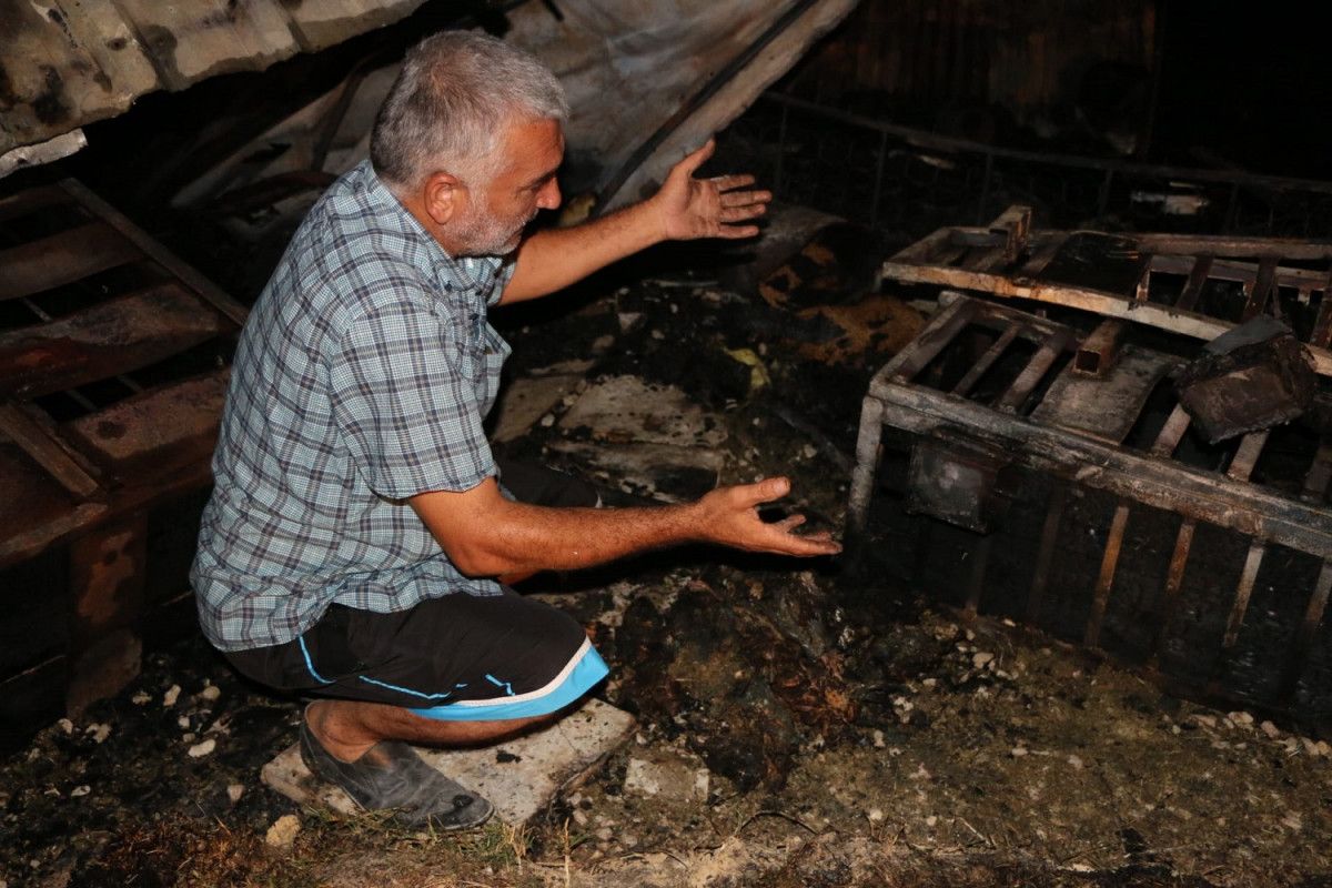Adana da kundaklanan barakadaki 90 güvercin yanarak öldü #1