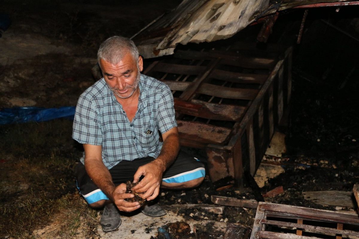 Adana da kundaklanan barakadaki 90 güvercin yanarak öldü #3