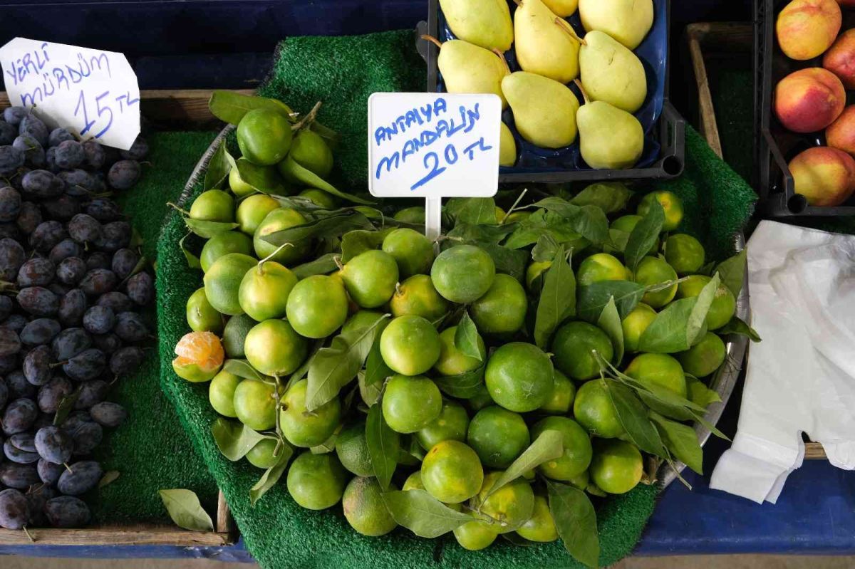 Erzincan’da pazarlarda kış meyve ve sebzeleri yerini aldı #4