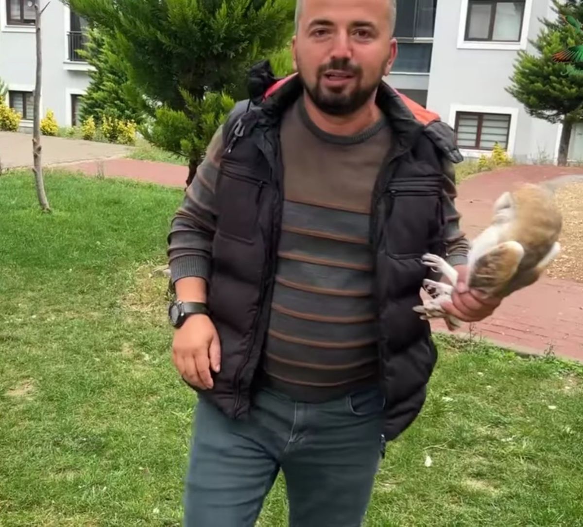 Bursa da merdiven boşluğuna düşen baykuş kurtarıldı #6
