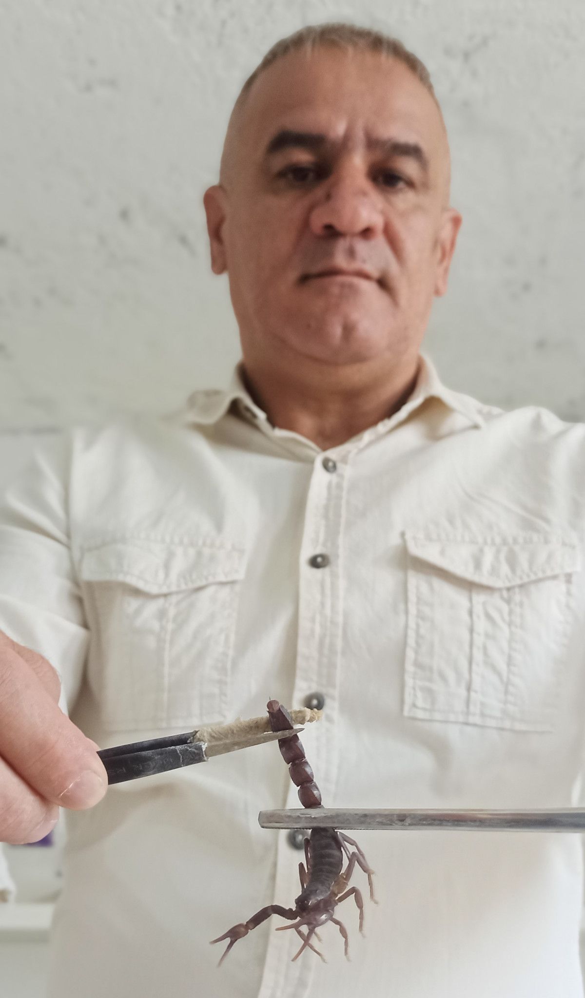 Mardin’de evinin altında 225 akrep yetiştiriyor #3