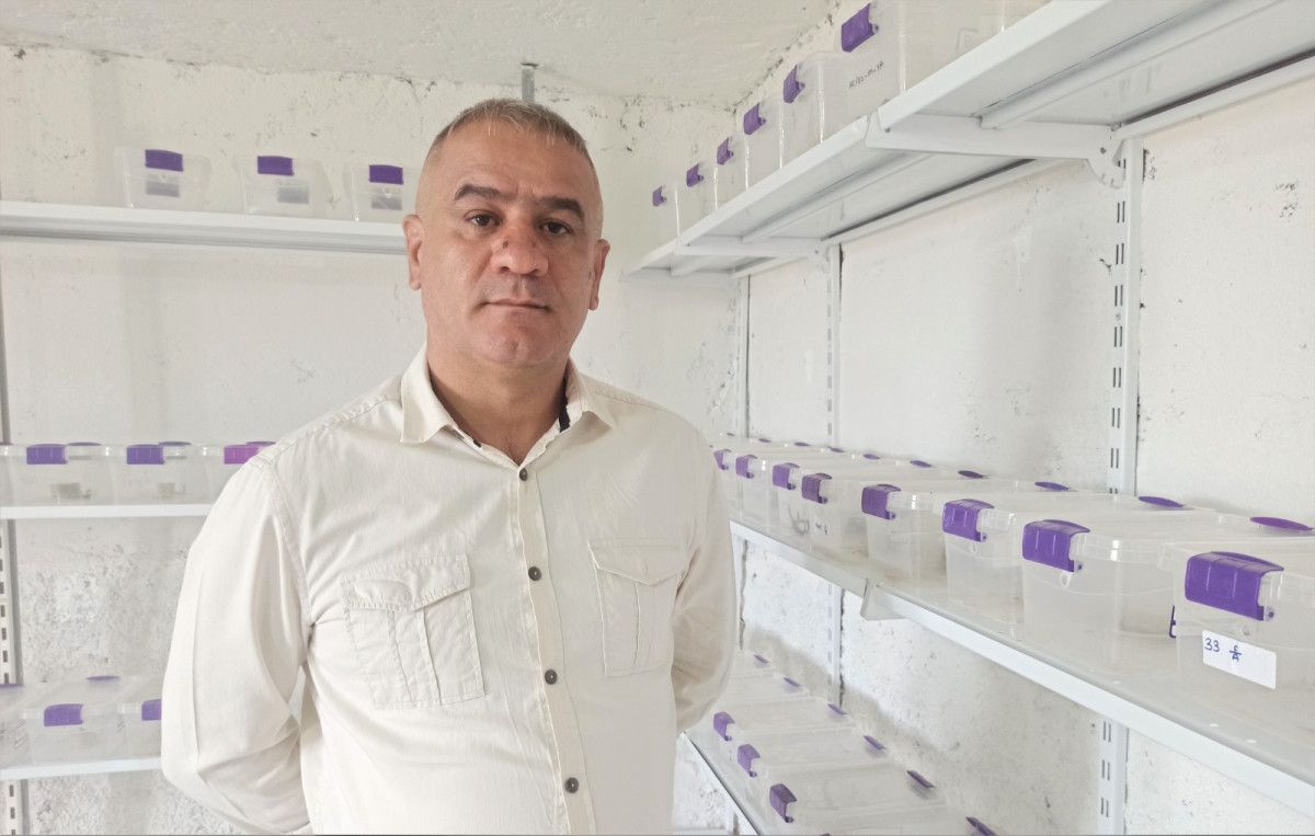 Mardin’de evinin altında 225 akrep yetiştiriyor #8