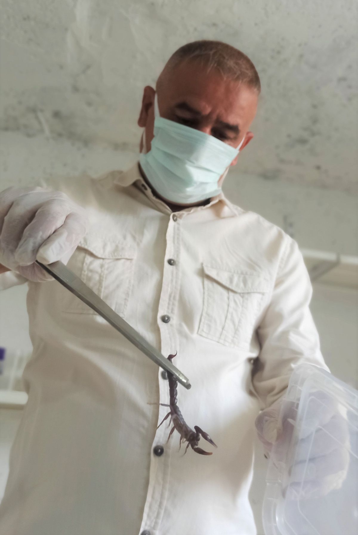 Mardin’de evinin altında 225 akrep yetiştiriyor #1