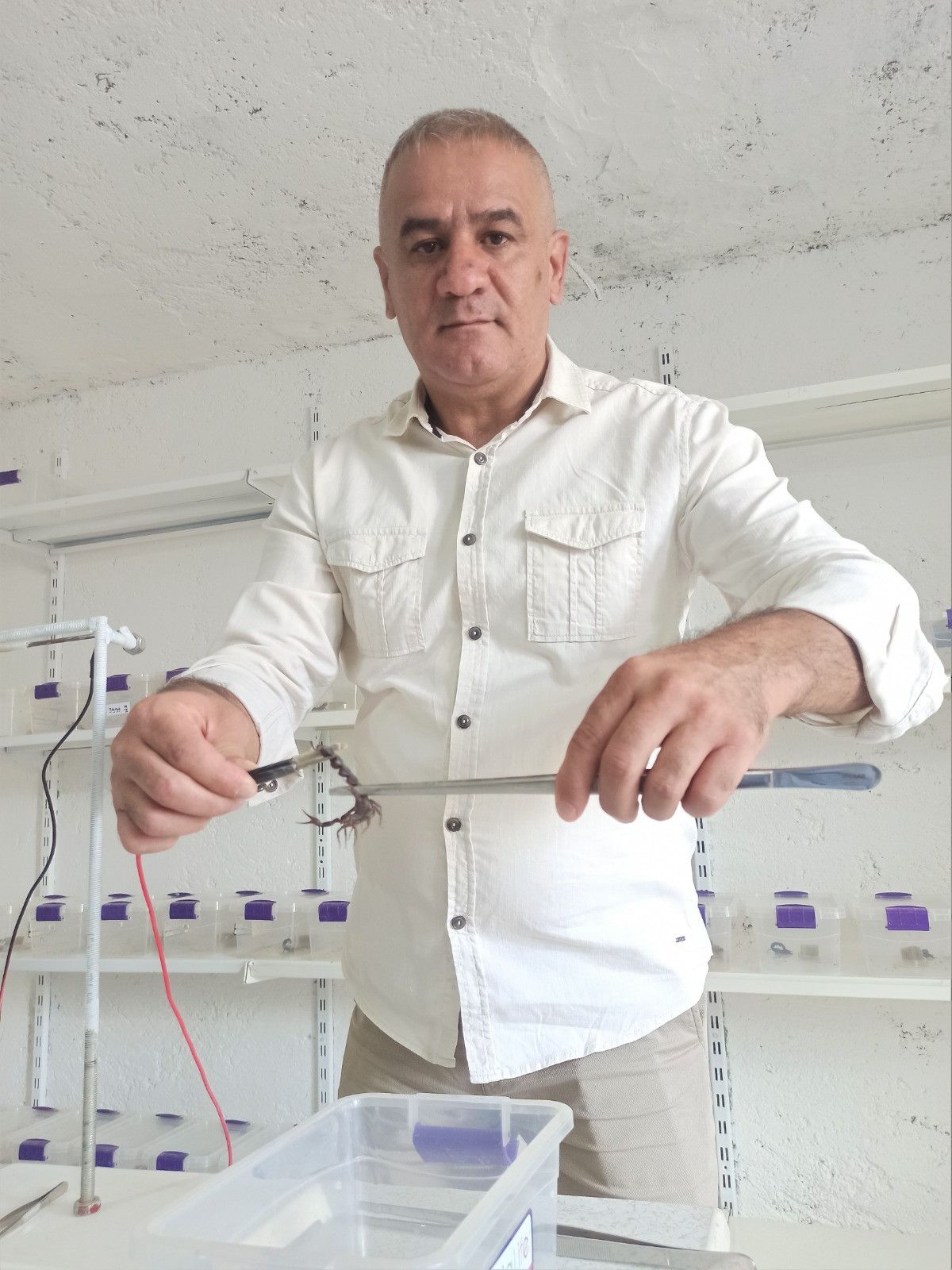 Mardin’de evinin altında 225 akrep yetiştiriyor #6