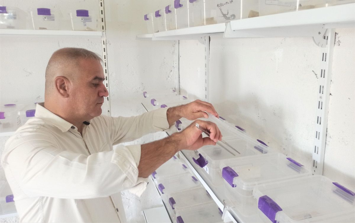 Mardin’de evinin altında 225 akrep yetiştiriyor #7