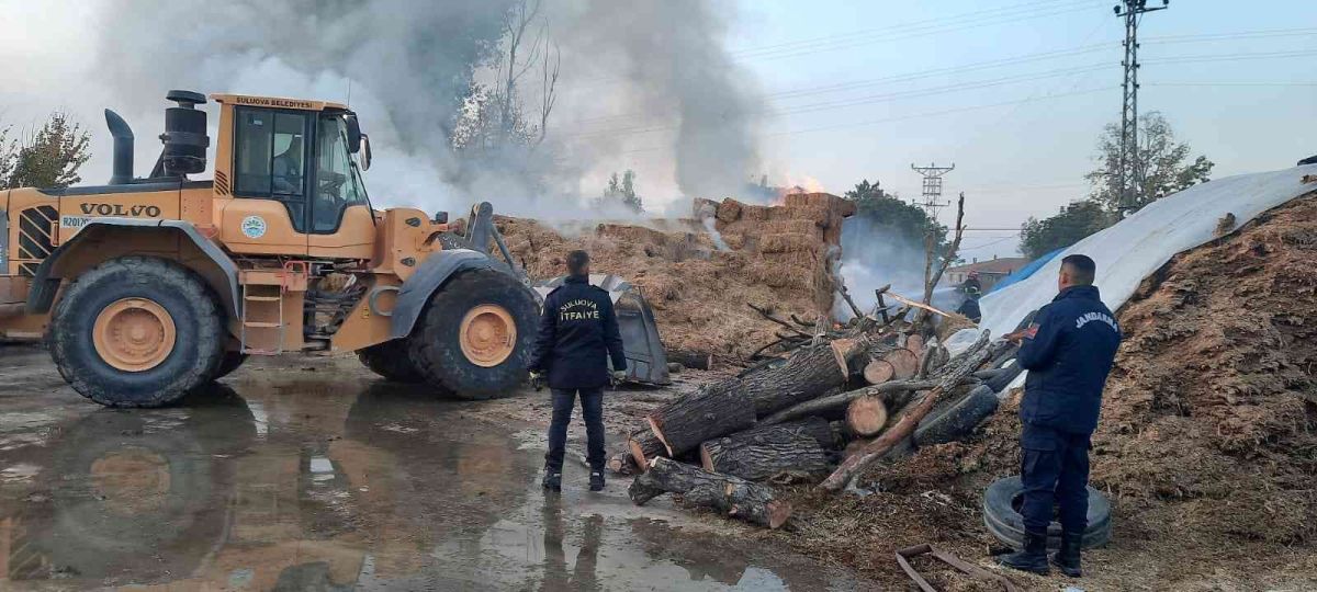 Amasya da 50 ton saman alevlere teslim oldu #1