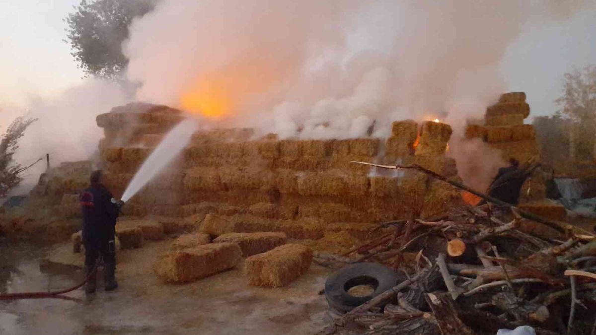 Amasya da 50 ton saman alevlere teslim oldu #2