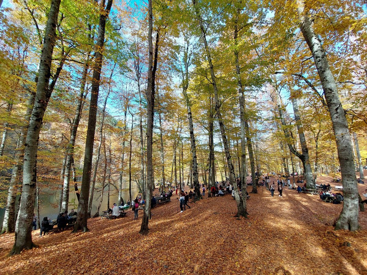 Yedigöller ziyaretçilerini sonbahar renkleriyle ağırlıyor #5