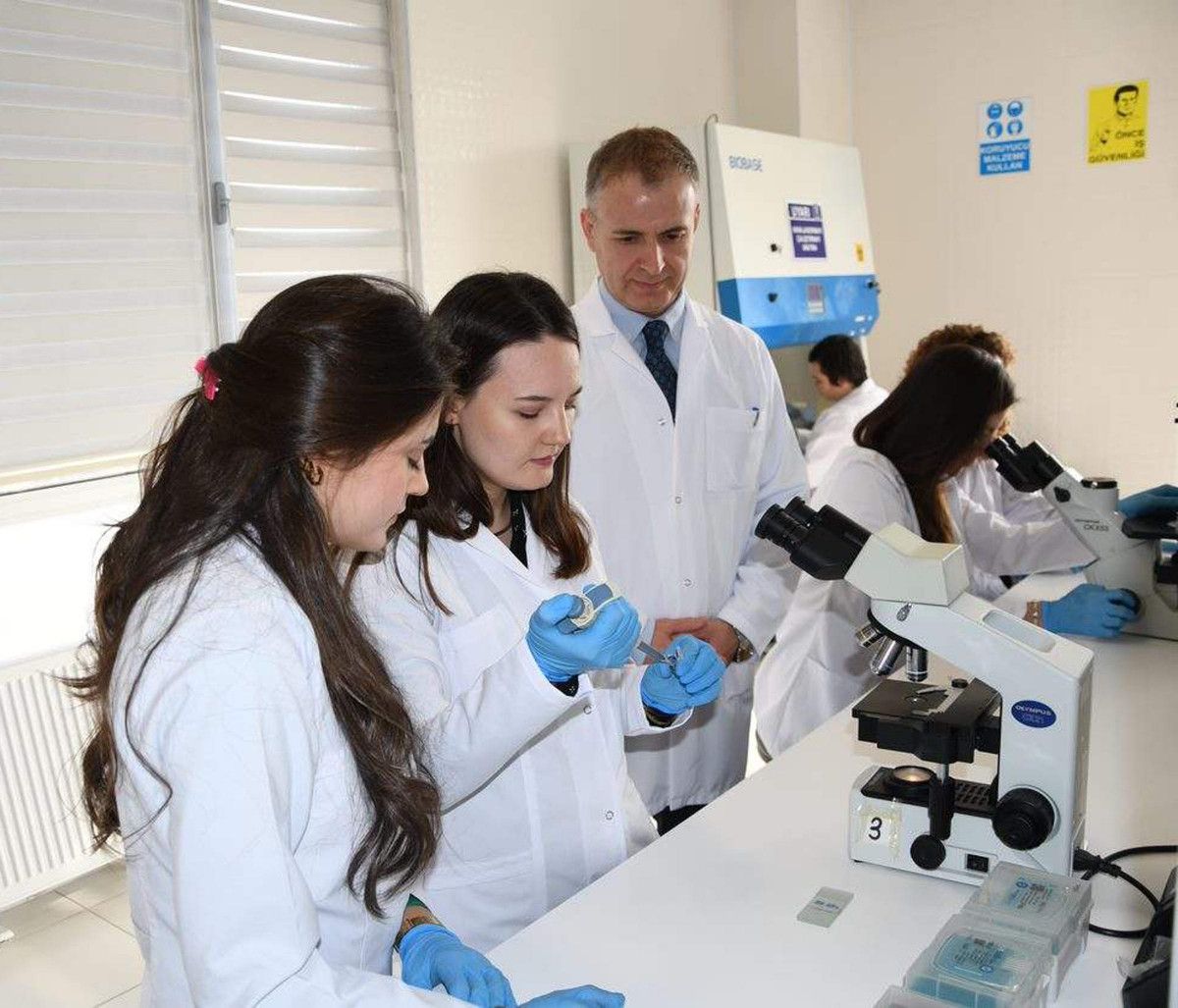 Türkiye de kanser aşısı çalışmalarında hayvan deneylerine geçiliyor #1