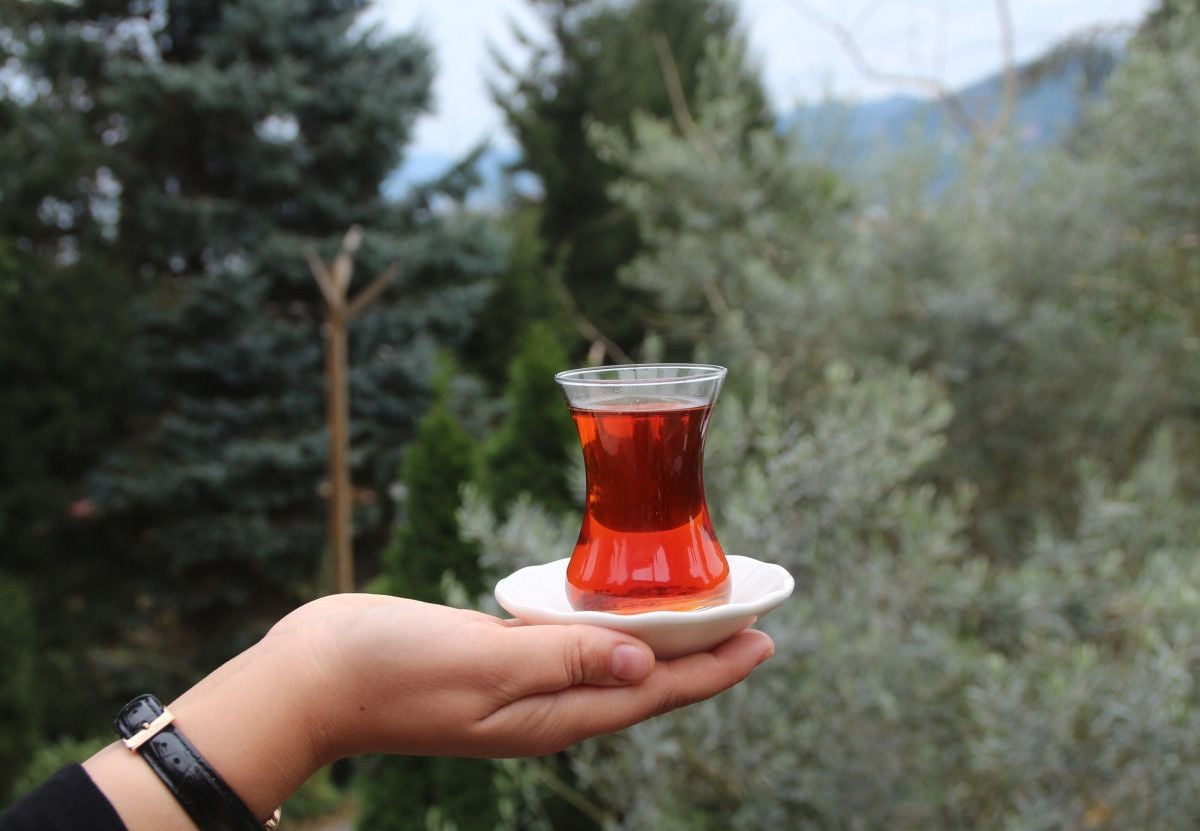 Türk çay kültürü  UNESCO Somut Olmayan Kültürel Miras Listesi ne girdi #3