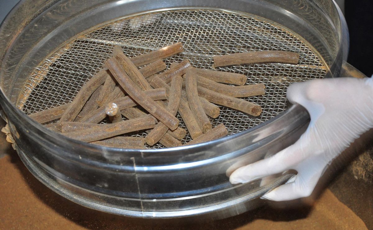 Manisa pandemiden sonraki ilk mesir festivaline hazırlanıyor #3