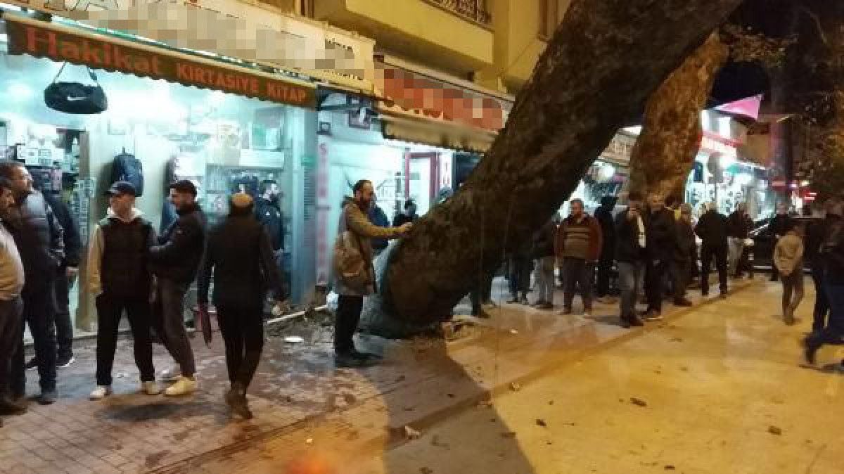 Bursa da 300 yıllık çınar ağacı iş yerinin çatısına devrildi #7