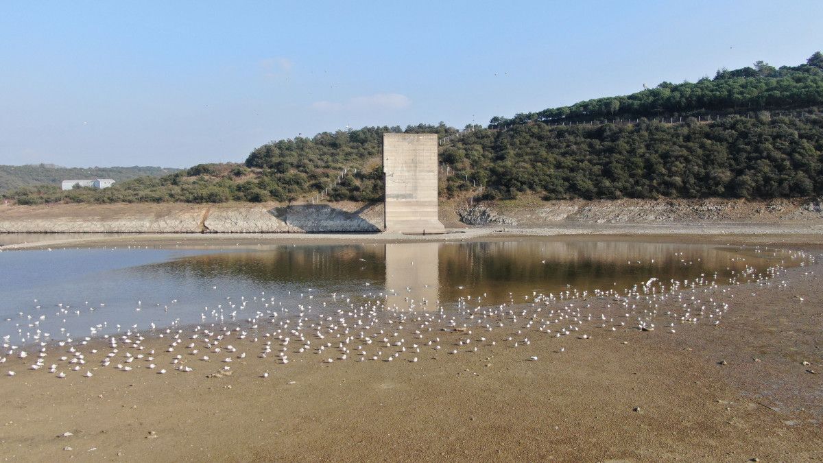 Alibeyköy Barajı nda son 10 yılın en düşük seviyesi #9